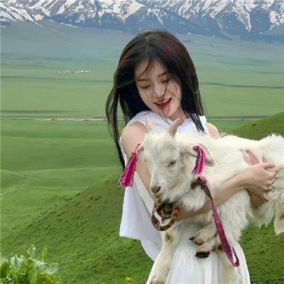 零度战姬第二季